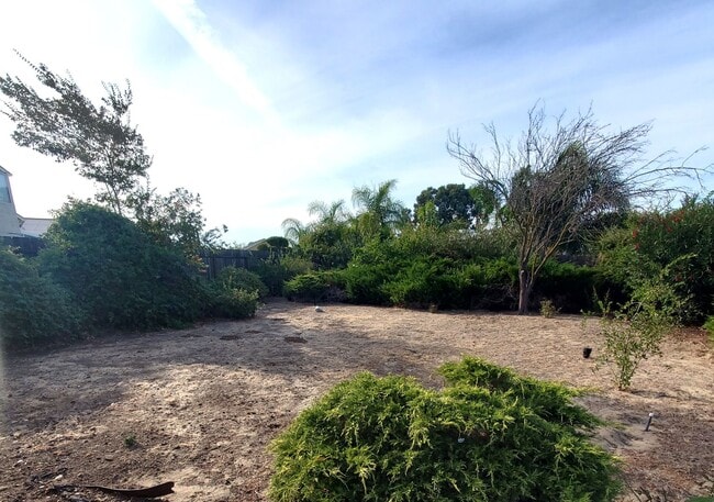 Building Photo - 3bd/2ba Single Story, Fresh Updates, Huge Backyard