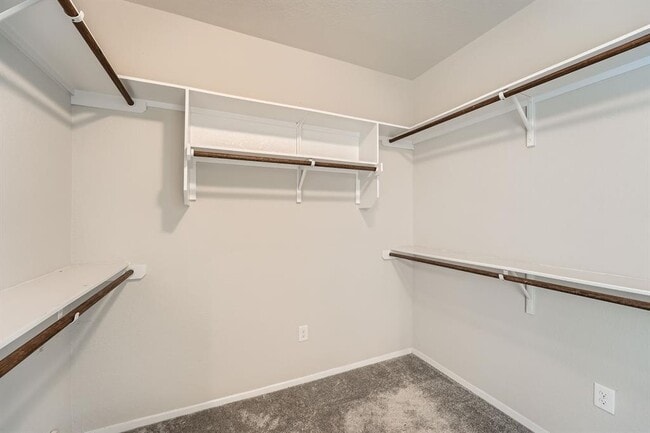 Building Photo - 11509 Brindle Ct