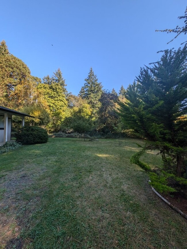 Building Photo - Two Bedroom for Rent in Brownsville! Large & Private Lot, Pets Allowed, Close to Bases & More!