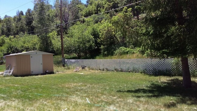 Building Photo - In Town House with Huge Backyard