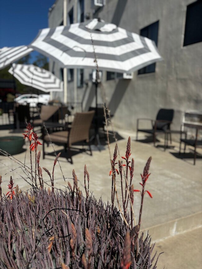 Building Photo - Studio with a view. Close to DTLA, Eagle R...