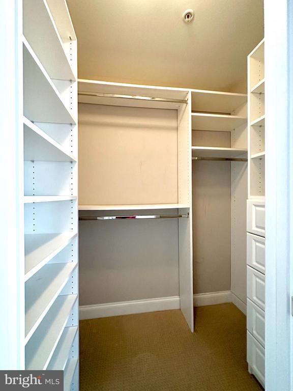 Building Photo - 11837 Regents Park Dr