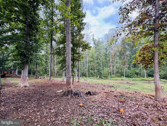Building Photo - 6709 Towles Mill Rd
