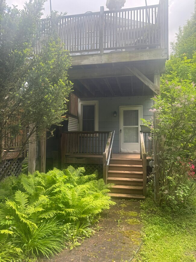 Building Photo - 42 Chappell St