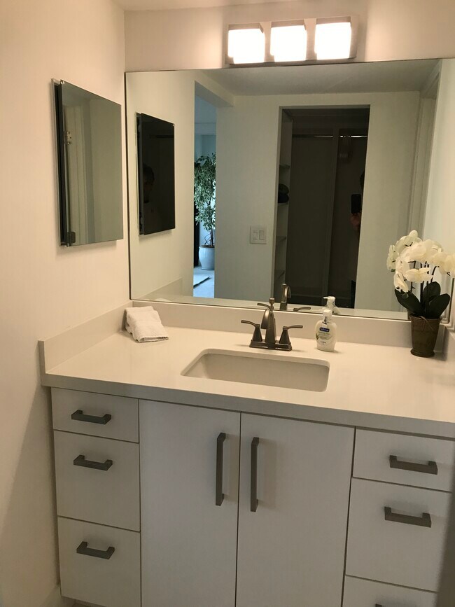 Master Bath - 935 Sweetwater Ln