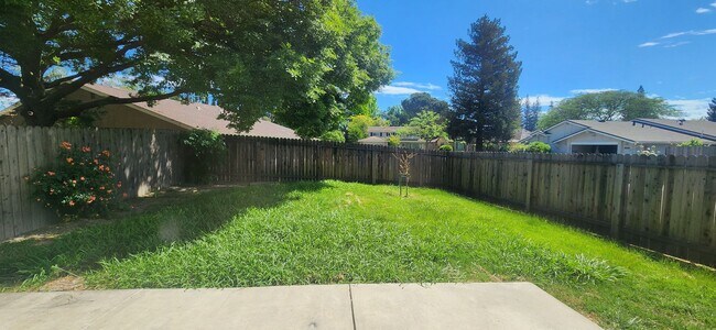 Building Photo - 8468001/37T