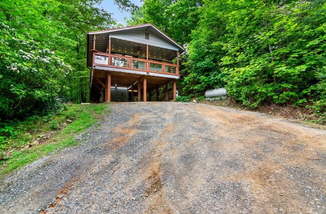Building Photo - 338 Canter Ct