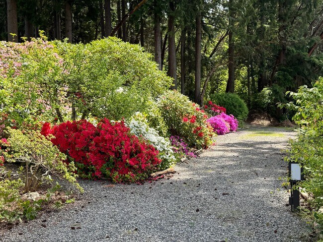 Building Photo - Stunning completely remodeled waterfront P...