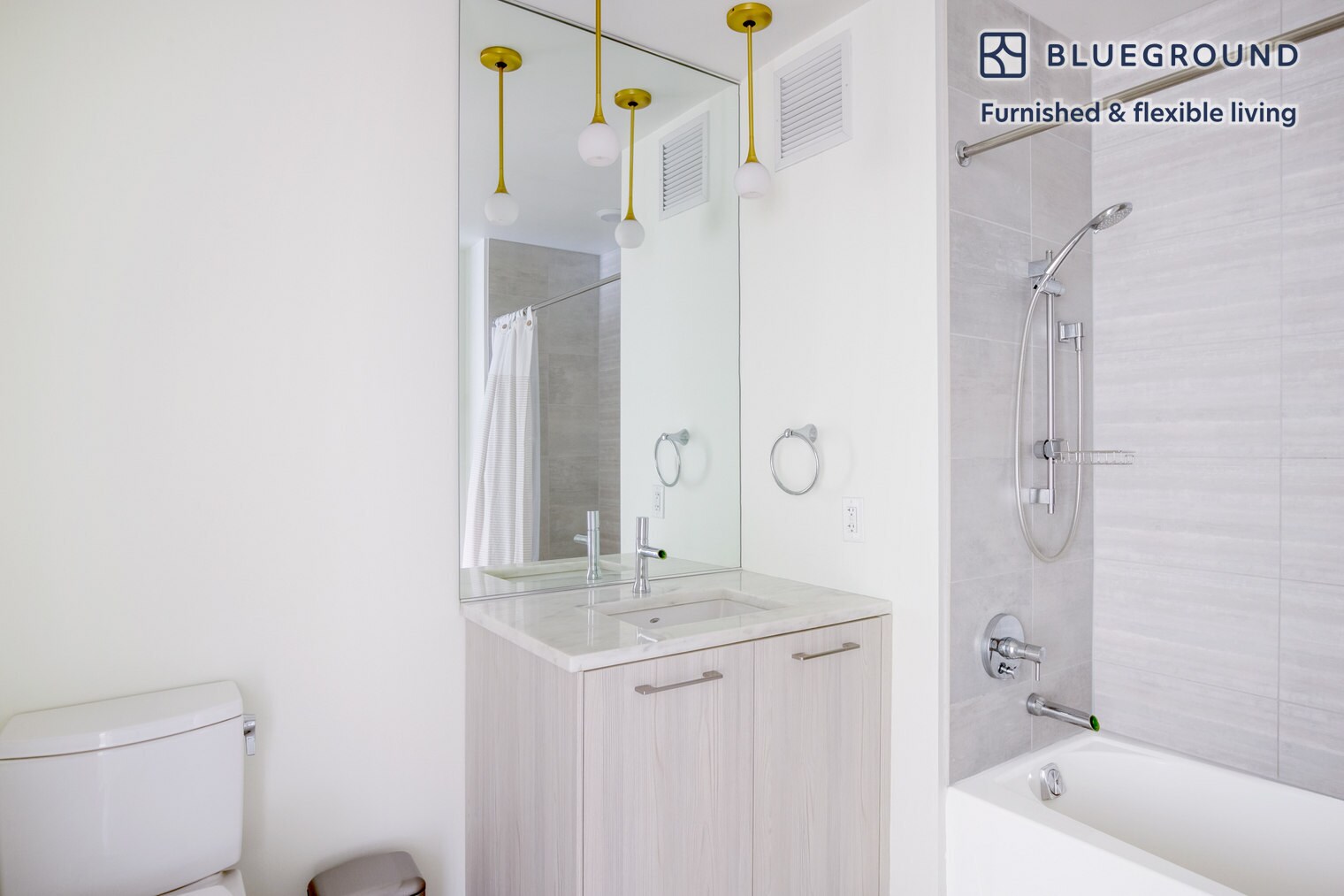 Building Photo - 165 North Des Plaines Street-SI FL3-ID750