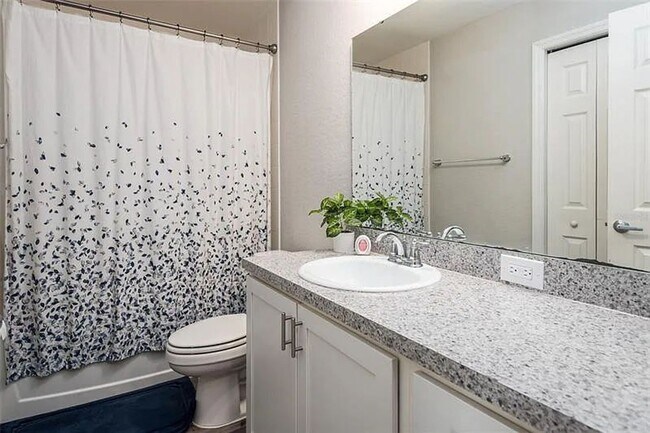 Building Photo - Gorgeous Three Bedroom in Towne Park Estates