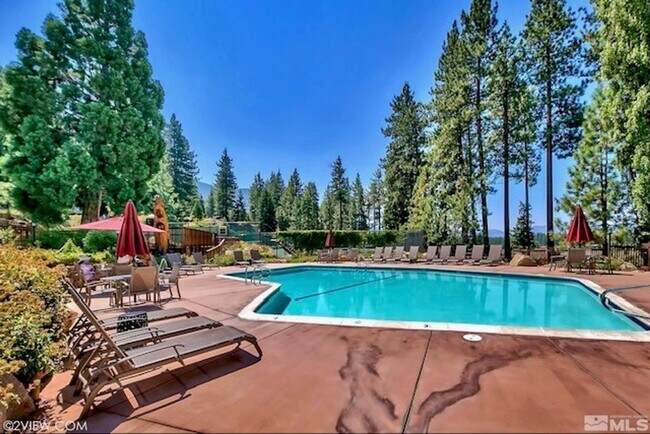 Building Photo - Large quiet condo backs to the forest