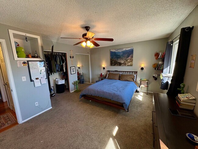 Building Photo - Stunning Morrison 3 bed/2 bath Corner Lot