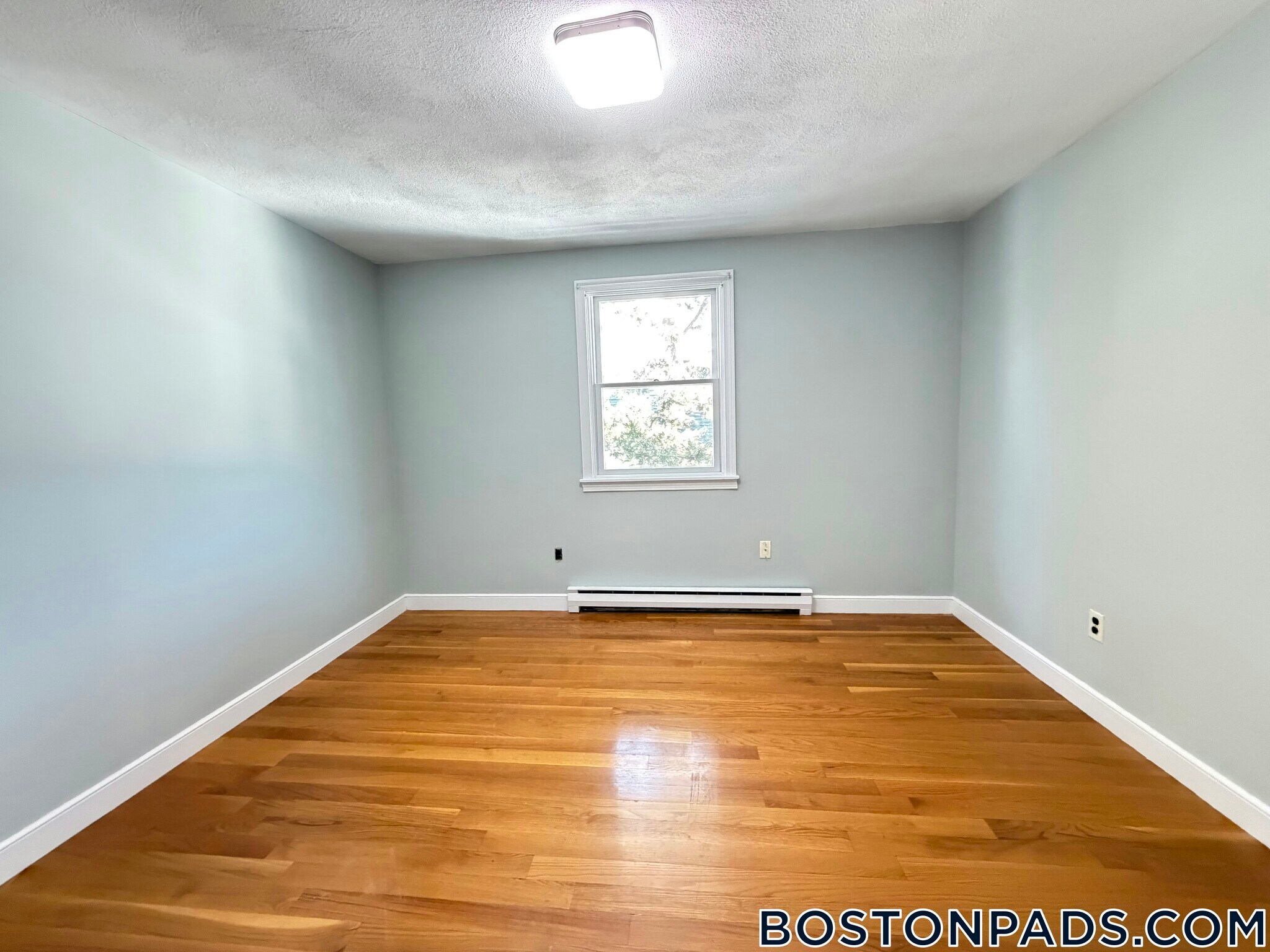 Building Photo - 92 Sylvia St