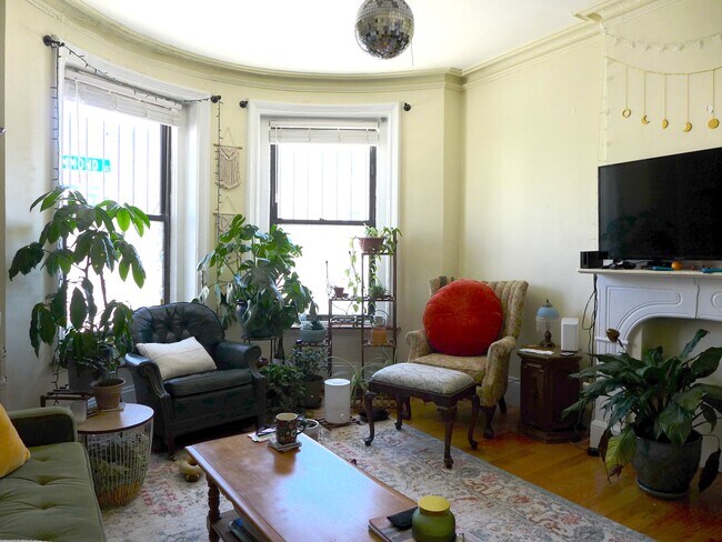 Primary Photo - 5 Sussex St