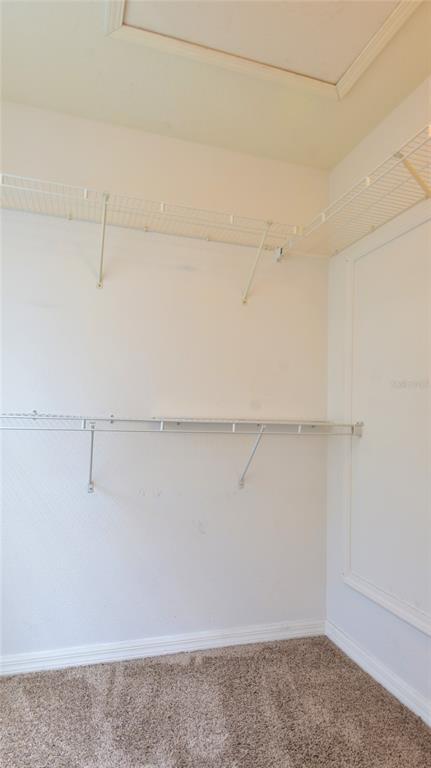 Building Photo - 11012 Black Swan Ct