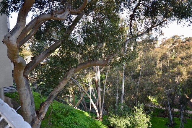 Building Photo - Bankers Hill – 2 BD, 2.5 BA! Two Assigned ...
