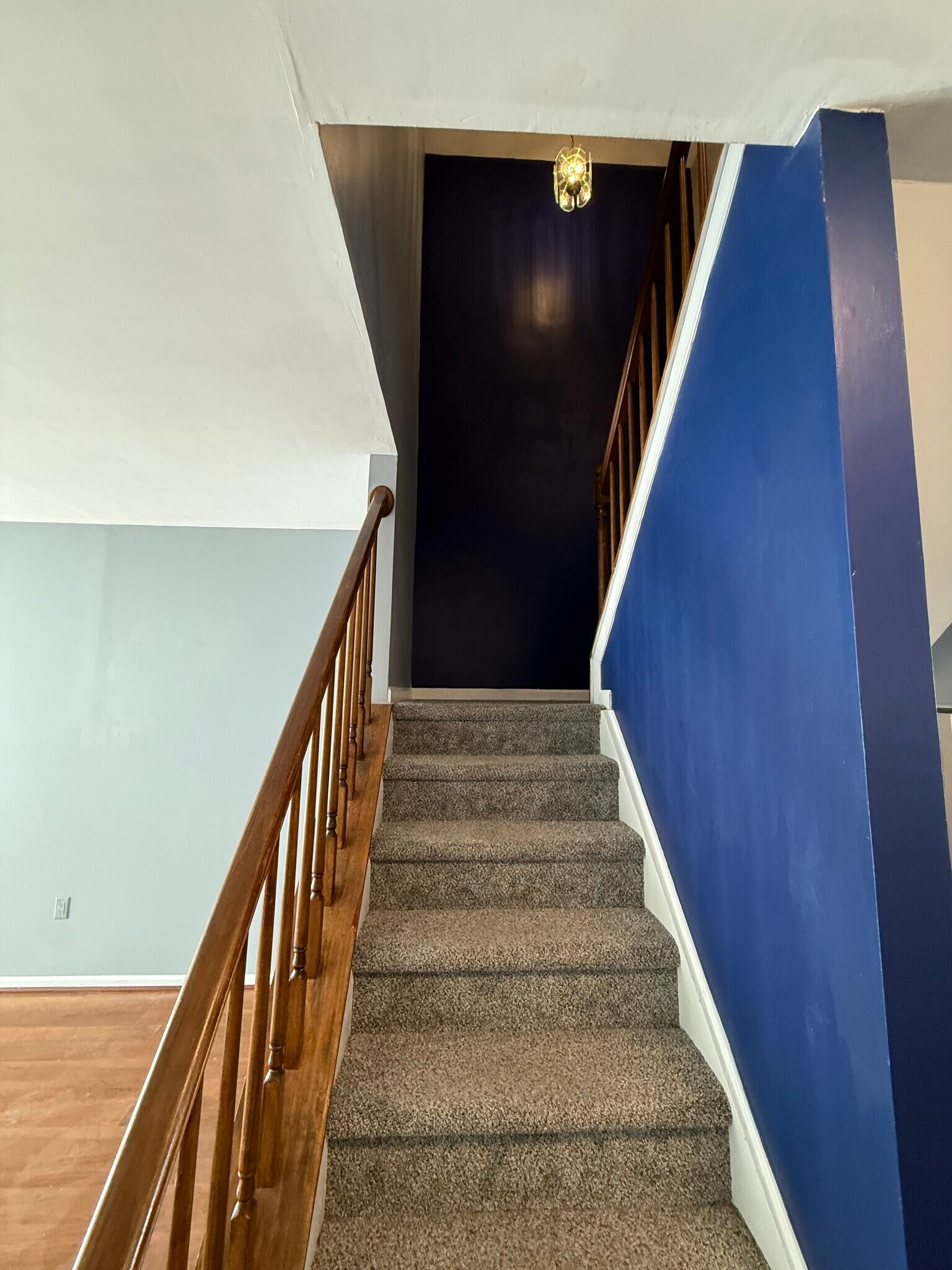 Building Photo - 12 Paynter St