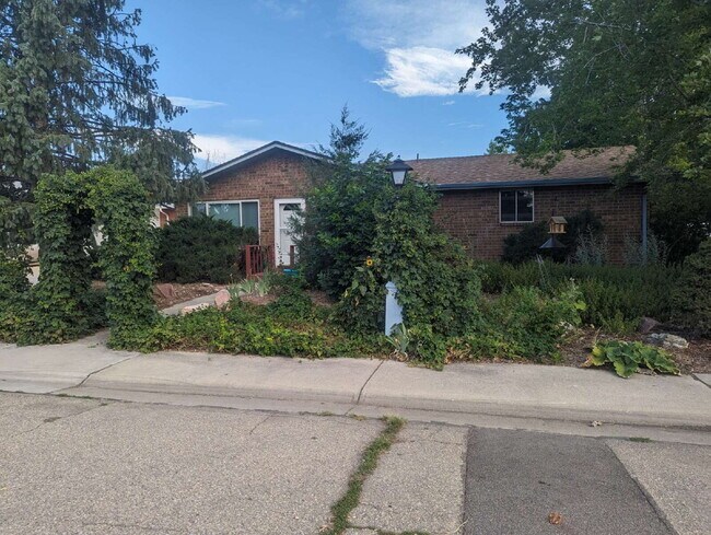 Primary Photo - Charming Ranch in North Longmont!!!