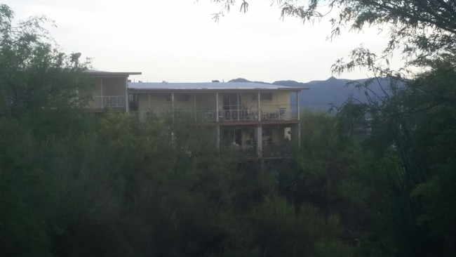 Building Photo - Catalina Foothills Lodge Apartments