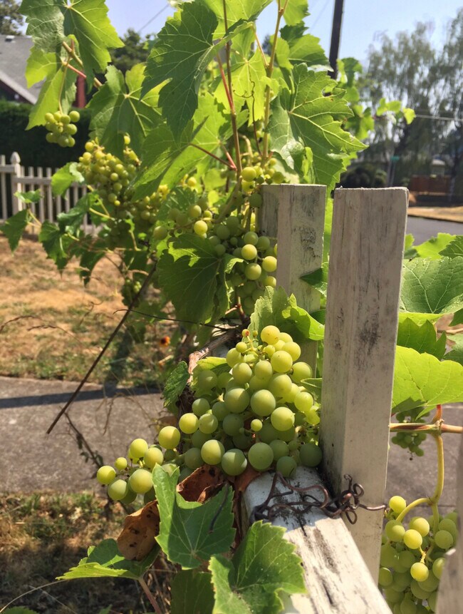 Building Photo - 4537 SE Mitchell St