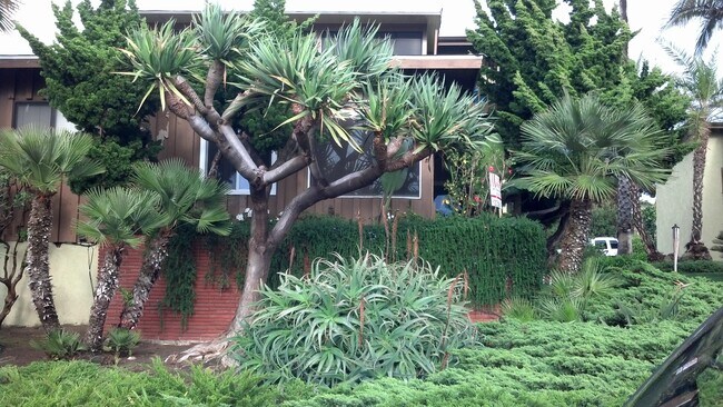 Building Photo - 316 Calle Miramar