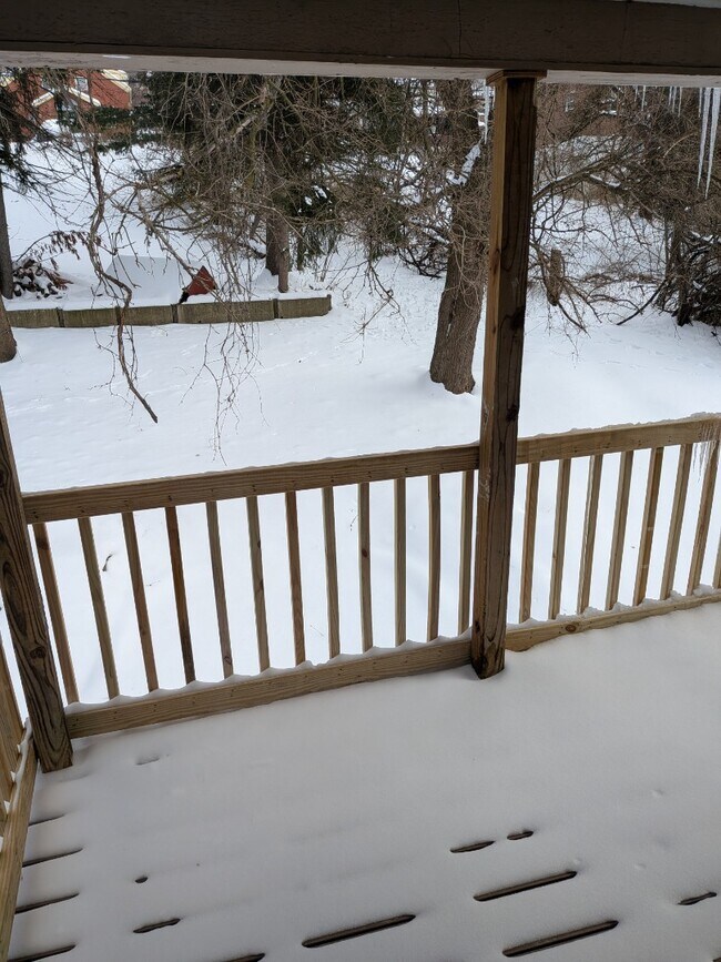 Building Photo - Beautiful Four Bedroom Home In Forest Hills