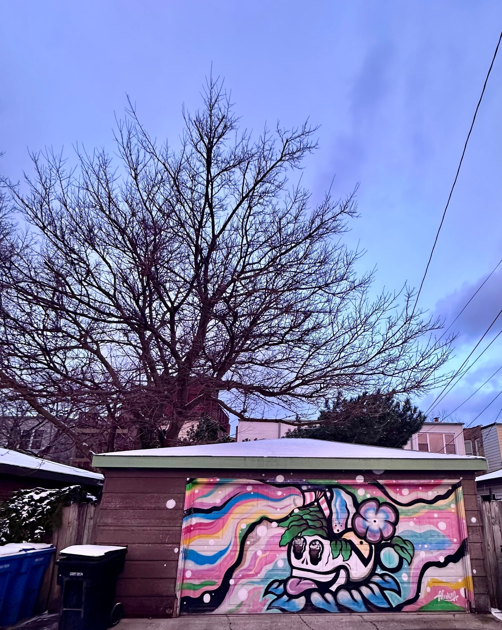 Garage spot for rent $200/month - 2442 N California Ave