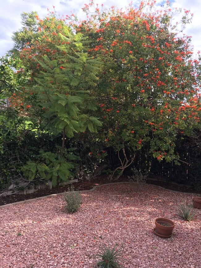 Building Photo - 4BD 2.5BA House located in Vineland Hills of Poway