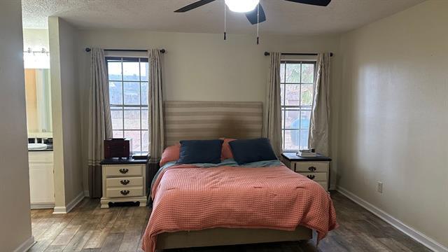 Building Photo - 3414 Wildbriar Cir