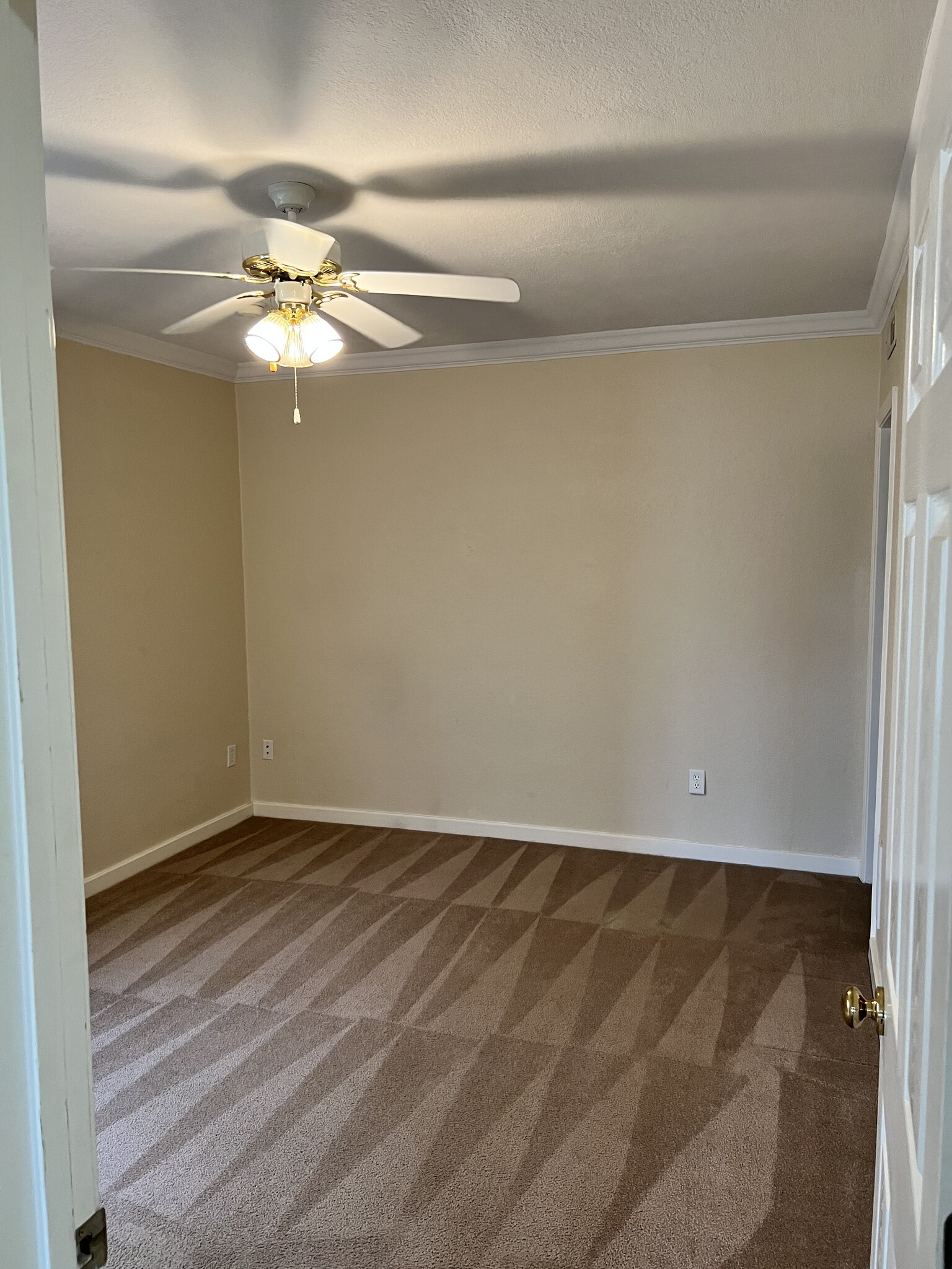 Downstairs bedroom - 619 Davis St