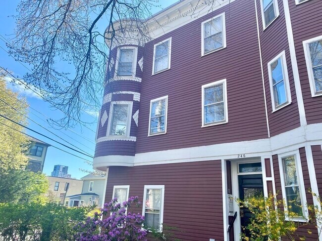 Building Photo - 239 Brookline St