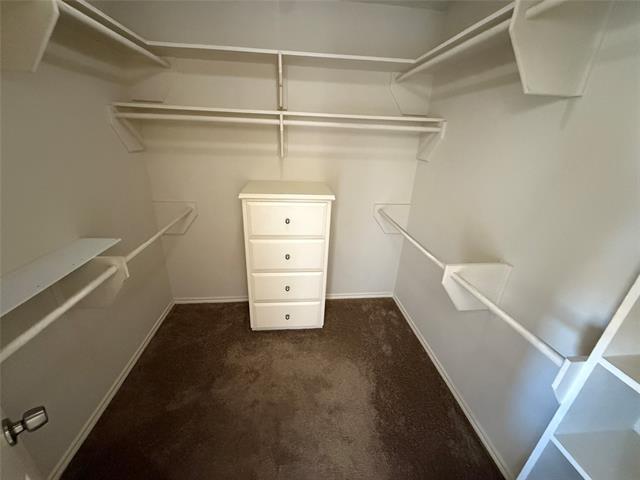 Building Photo - 5731 Sterling Green Trail