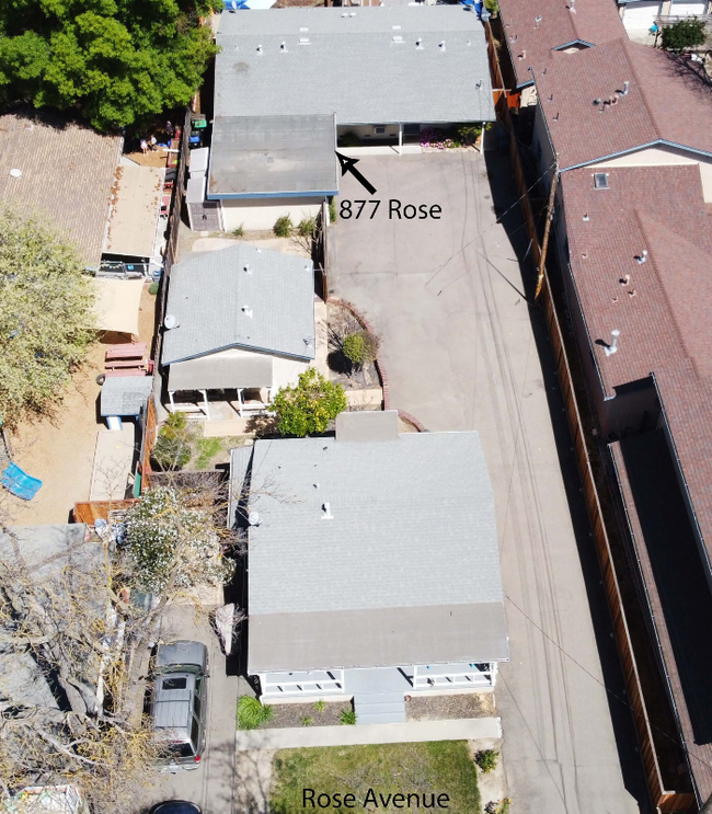 Building Photo - 877 Rose Ave