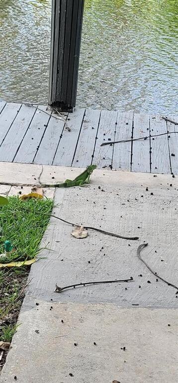 Building Photo - 1401 NE 57th Pl