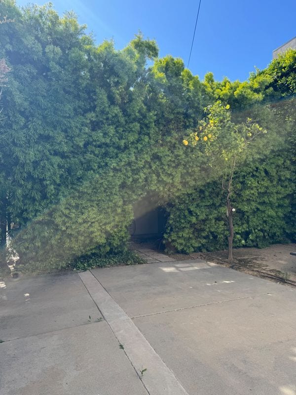 Building Photo - 1236 23rd St