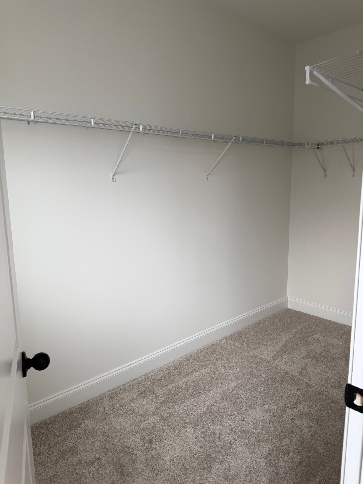 Building Photo - 2718 Willowoak Trl