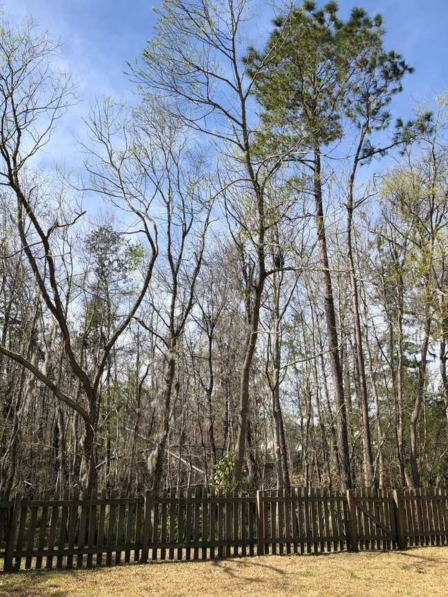 Building Photo - Single Family Home in Grand Oaks Plantation