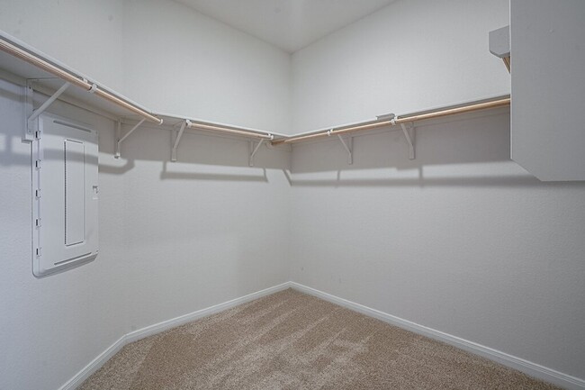 Building Photo - 224 Briggs Ln