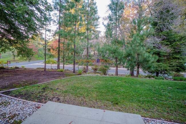 Building Photo - Rossmoor 55+ Living — One BR/One BA Del Monte Model (733 SF) — Peaceful, Updated, Sun-Filled Home