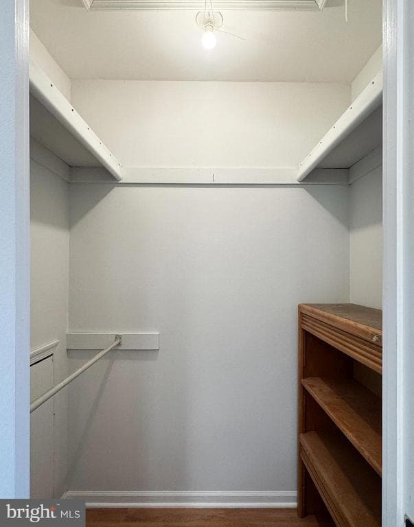 Building Photo - 737 Timber Ln