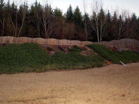 Building Photo - 12755 Morningpark Cir