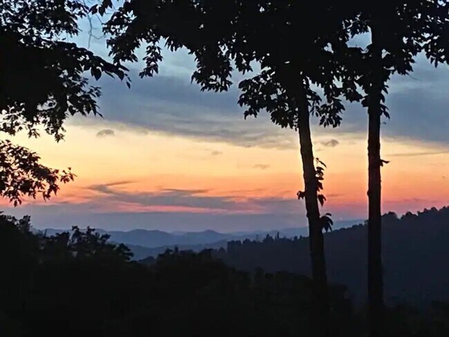 Building Photo - 390 Fall Creek Meadows Ln