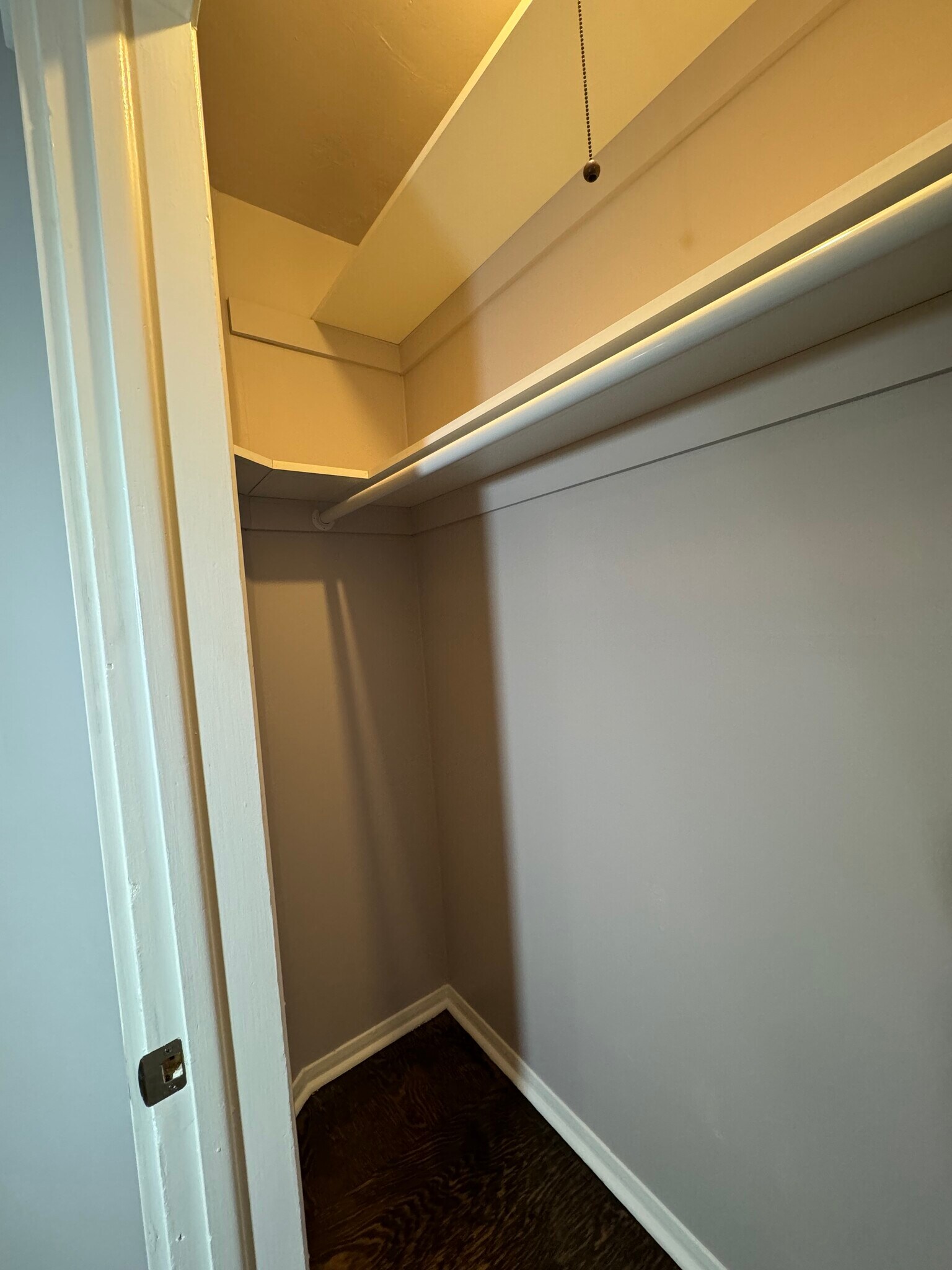 living room closet - 1818 Ashland Ave