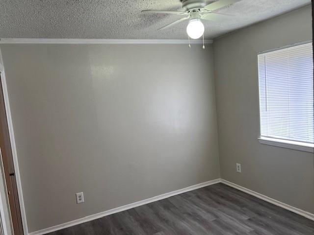 Building Photo - 806 Phillips Dr