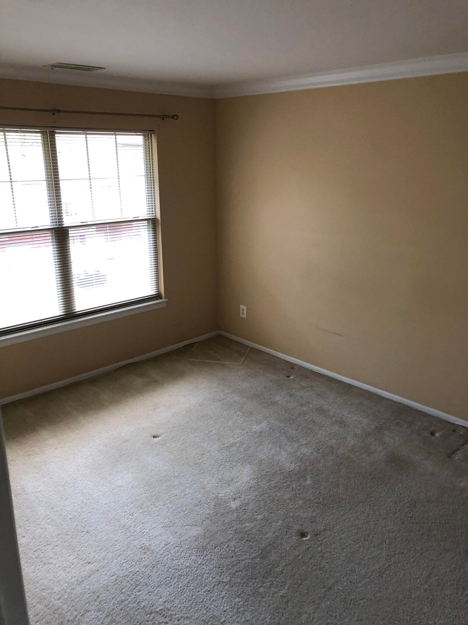 Building Photo - 11704 Olde English Dr