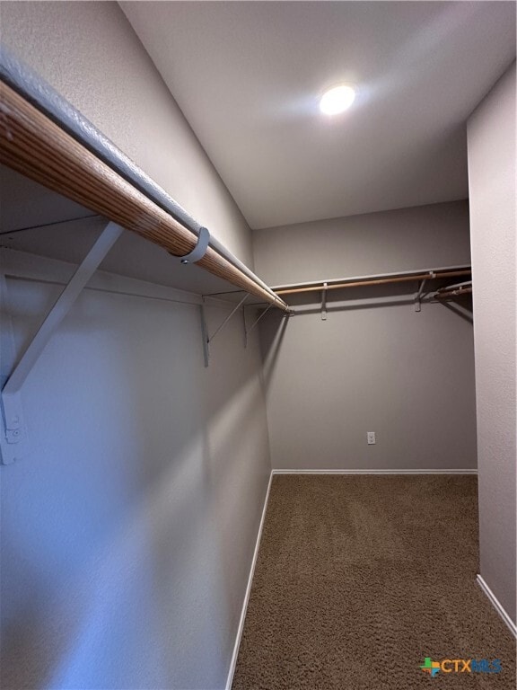 Building Photo - 6902 Golden Oak Ln