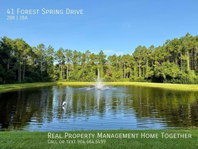 Building Photo - 41 Forest Spring Dr