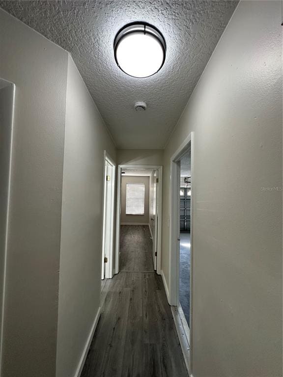 Building Photo - 7311 Seena Ct