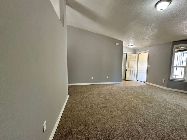 Building Photo - New Carpet