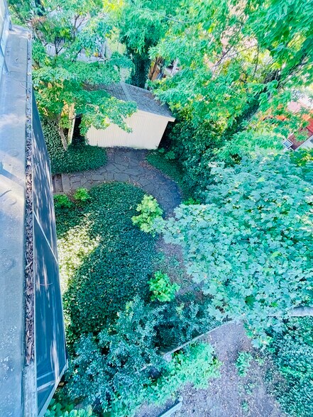 BACK YARD TOP VIEW - 10 Packard Ave